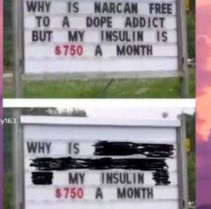 Meet your Posher, Owen